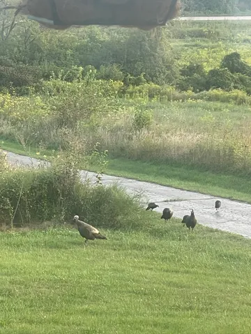 $1,100,000 | 8885 Burmeister Road, Saline, MI 48176