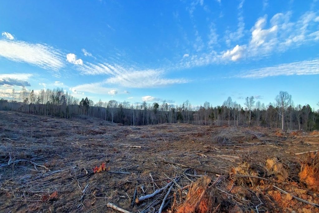 Depot Road McKenney, VA 23872 - Photo 2 of 7 Gallery Image 2