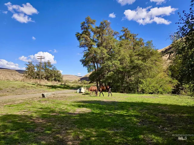 $530,000 | 13761 Asotin Creek Road, Asotin, WA 99402