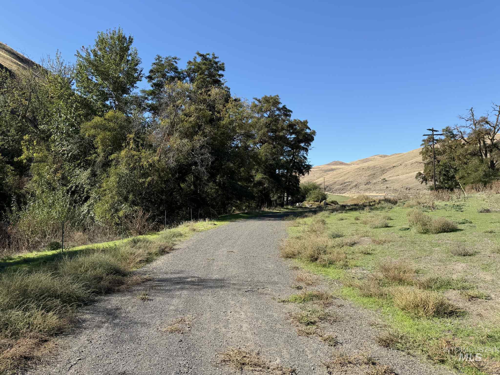 13761 Asotin Creek Road Asotin, WA 99402 - Photo 19 of 44 View of road