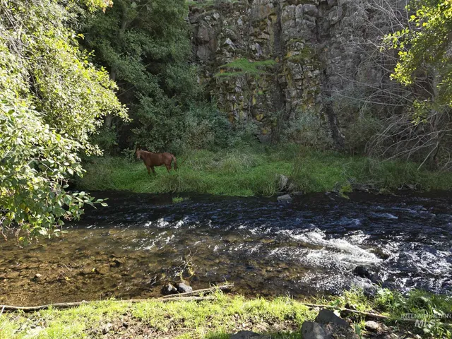 $530,000 | 13761 Asotin Creek Road, Asotin, WA 99402