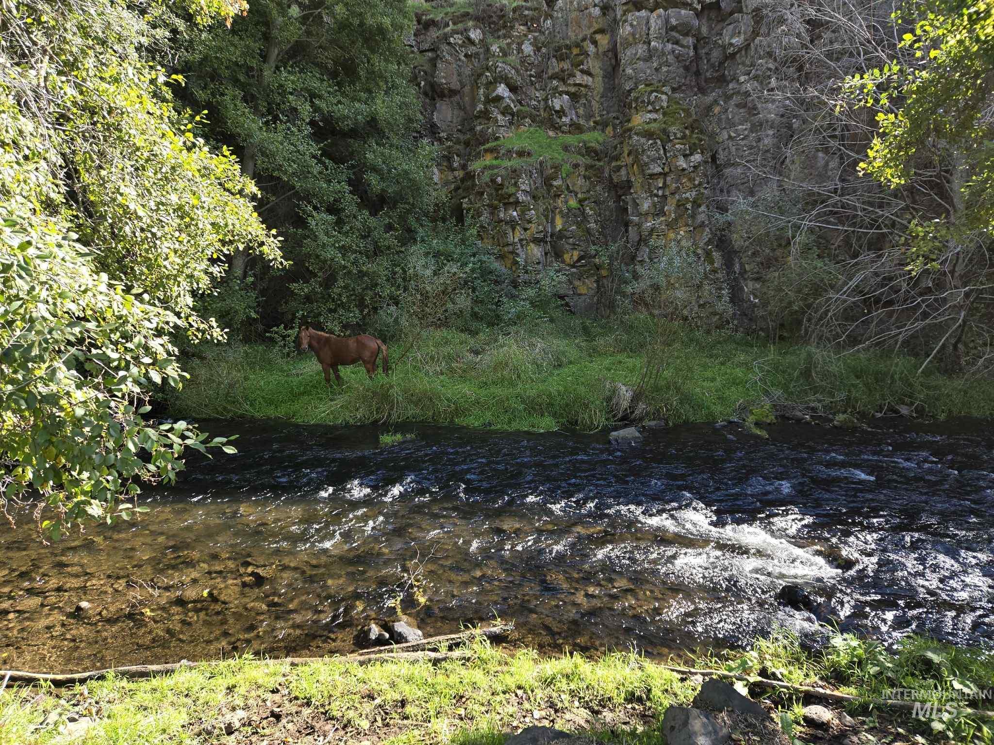 13761 Asotin Creek Road Asotin, WA 99402 - Photo 2 of 44 View of nature with a large body of water