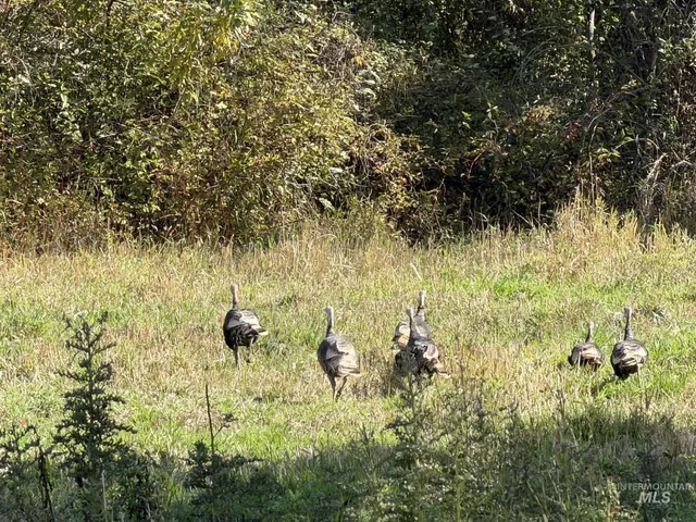 $530,000 | 13761 Asotin Creek Road, Asotin, WA 99402