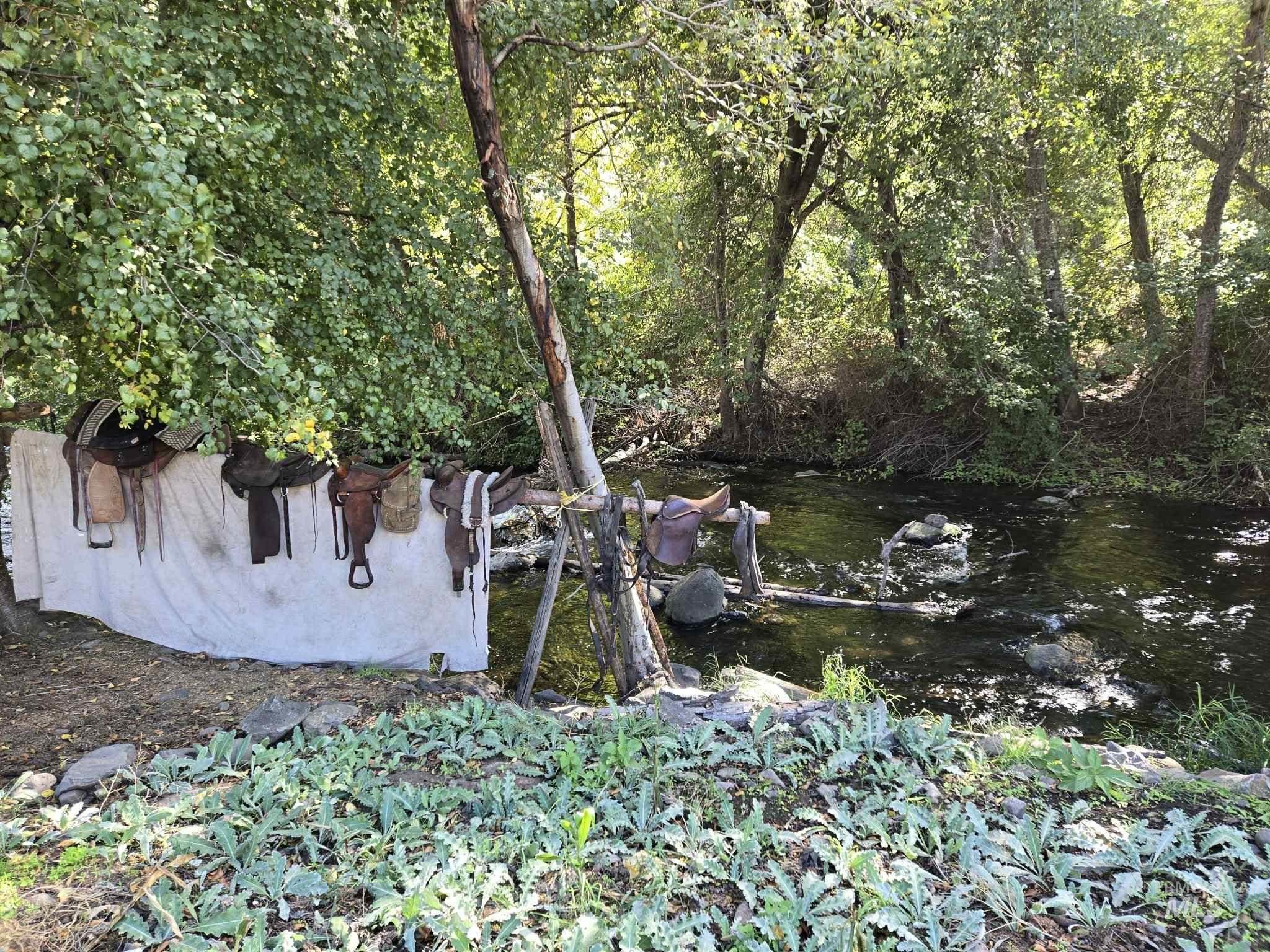 13761 Asotin Creek Road Asotin, WA 99402 - Photo 26 of 44 View of yard