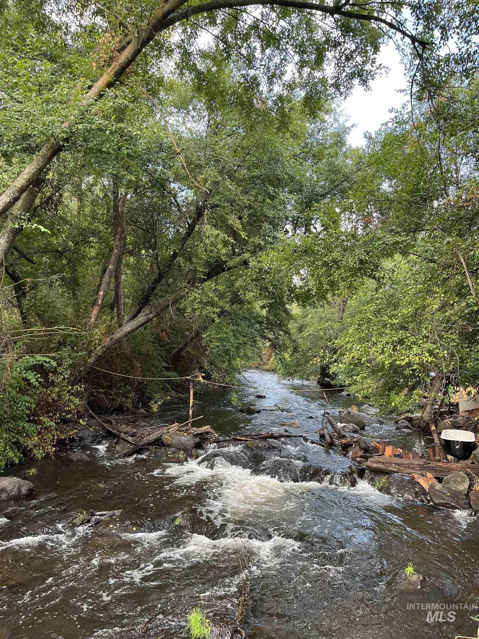 13761 Asotin Creek Road Asotin, WA 99402 - Photo 27 of 44 View of woods with a water view