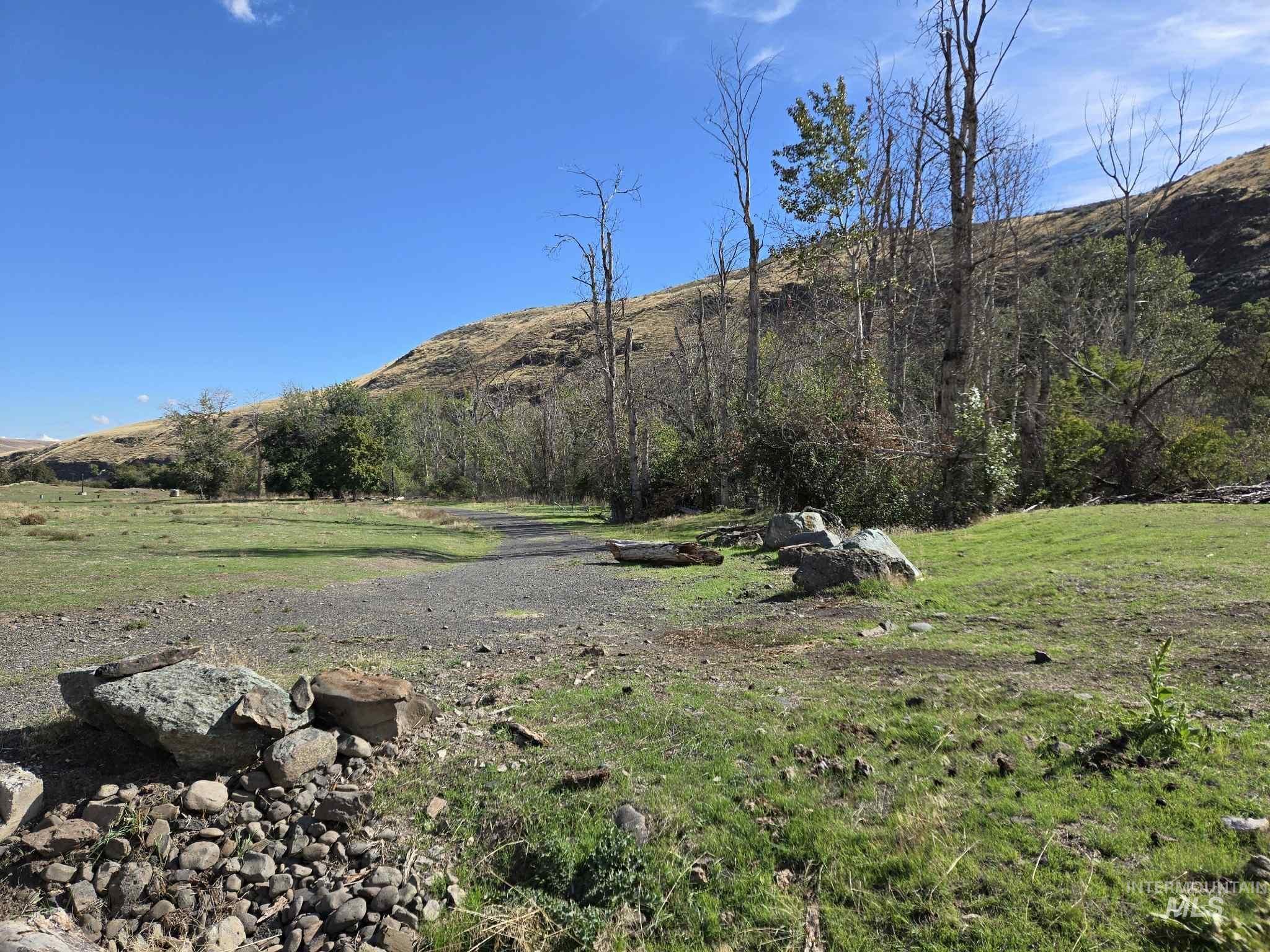 13761 Asotin Creek Road Asotin, WA 99402 - Photo 28 of 44 View of grassy yard with a mountain view