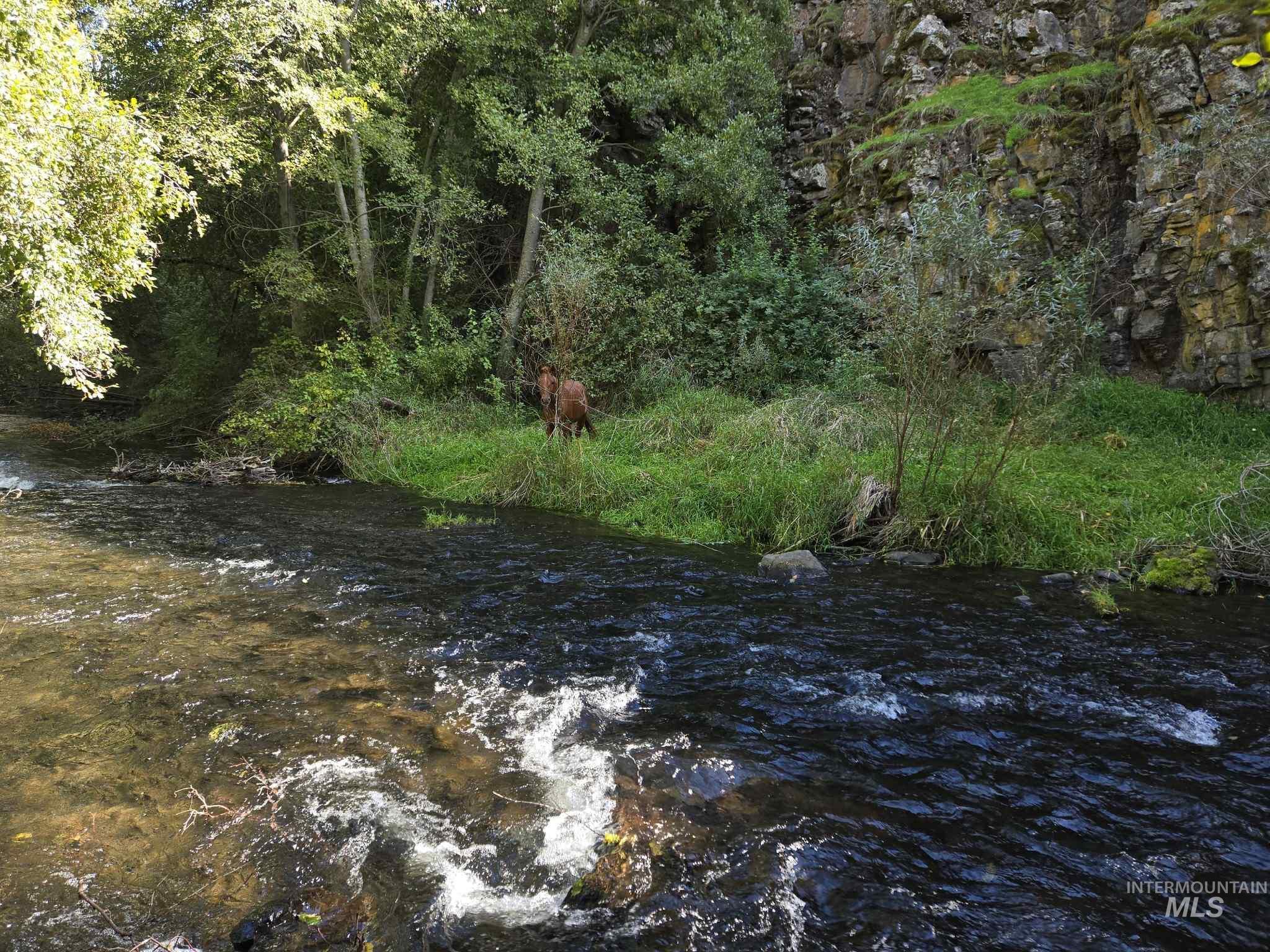 13761 Asotin Creek Road Asotin, WA 99402 - Photo 29 of 44 Water view