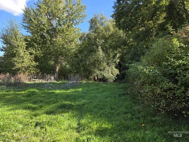 $530,000 | 13761 Asotin Creek Road, Asotin, WA 99402