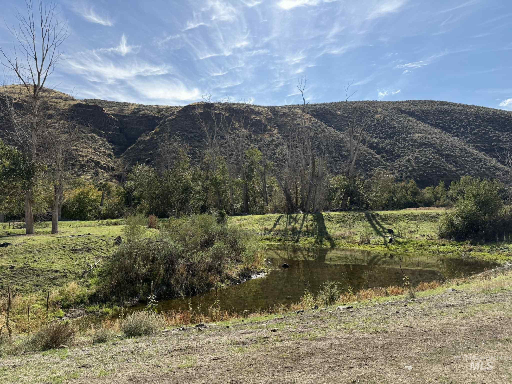 13761 Asotin Creek Road Asotin, WA 99402 - Photo 32 of 44 Filled by the creek