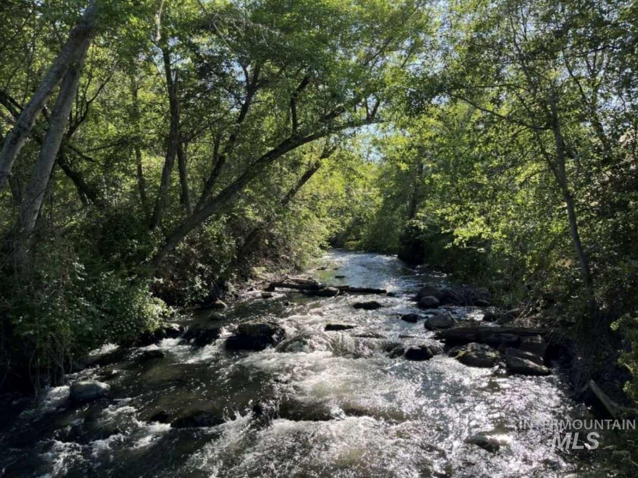 13761 Asotin Creek Road Asotin, WA 99402 - Photo 35 of 44 Year round Creek