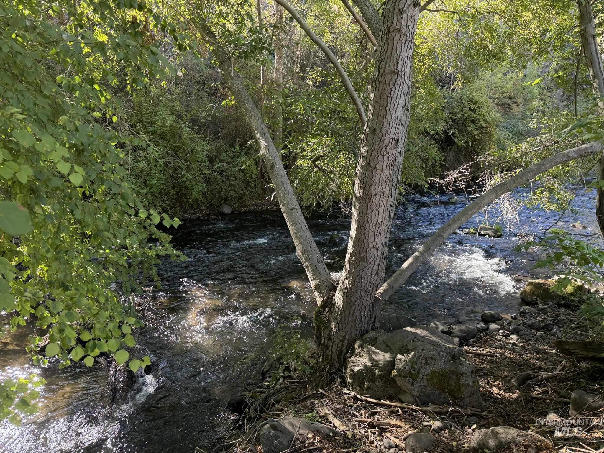13761 Asotin Creek Road Asotin, WA 99402 - Photo 38 of 44 View of wooded area with a water view