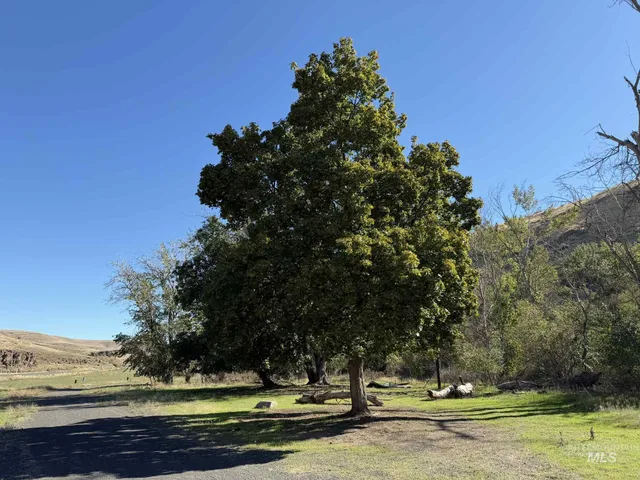 $530,000 | 13761 Asotin Creek Road, Asotin, WA 99402