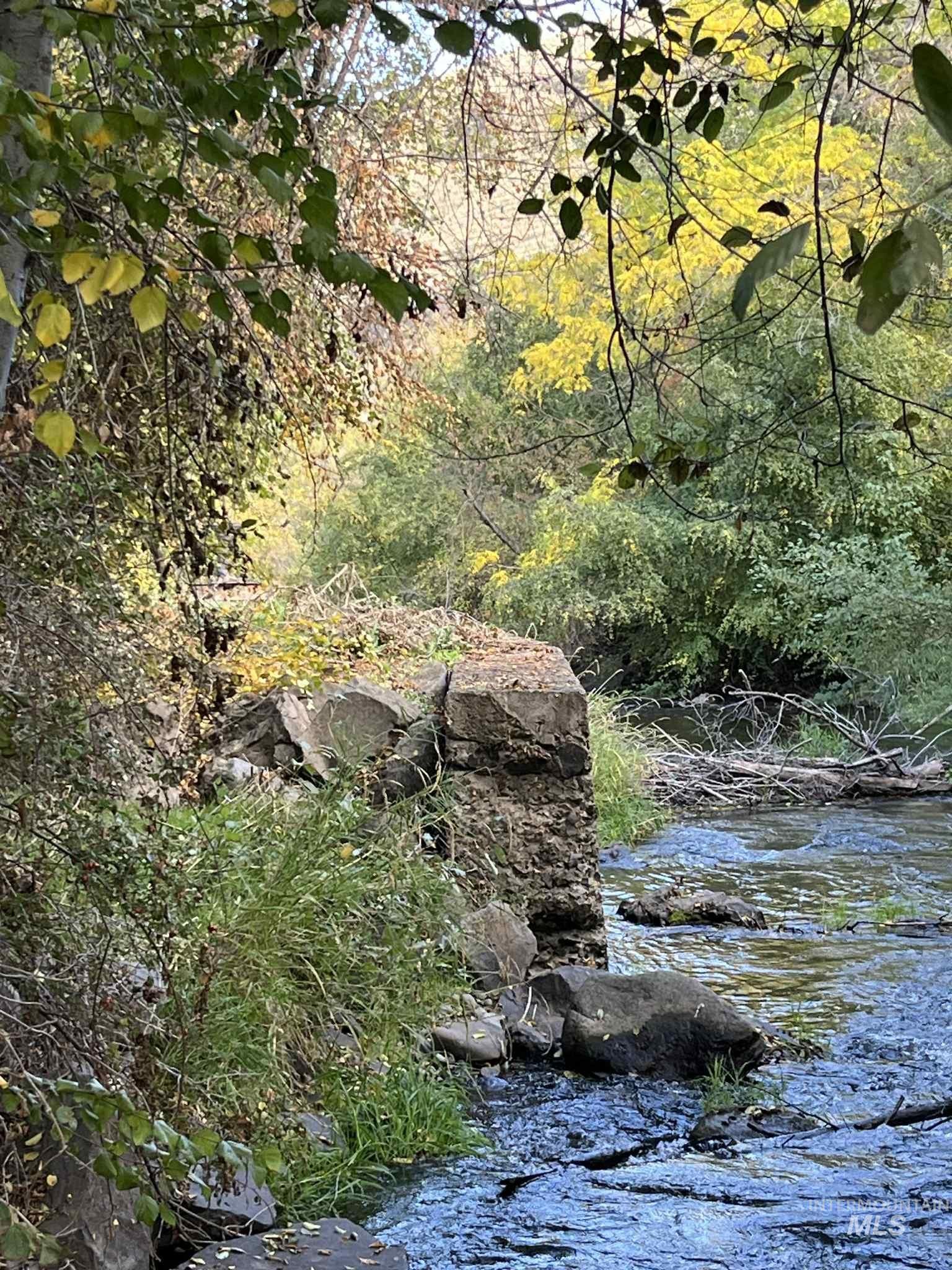 13761 Asotin Creek Road Asotin, WA 99402 - Photo 42 of 44 View of tree filled area