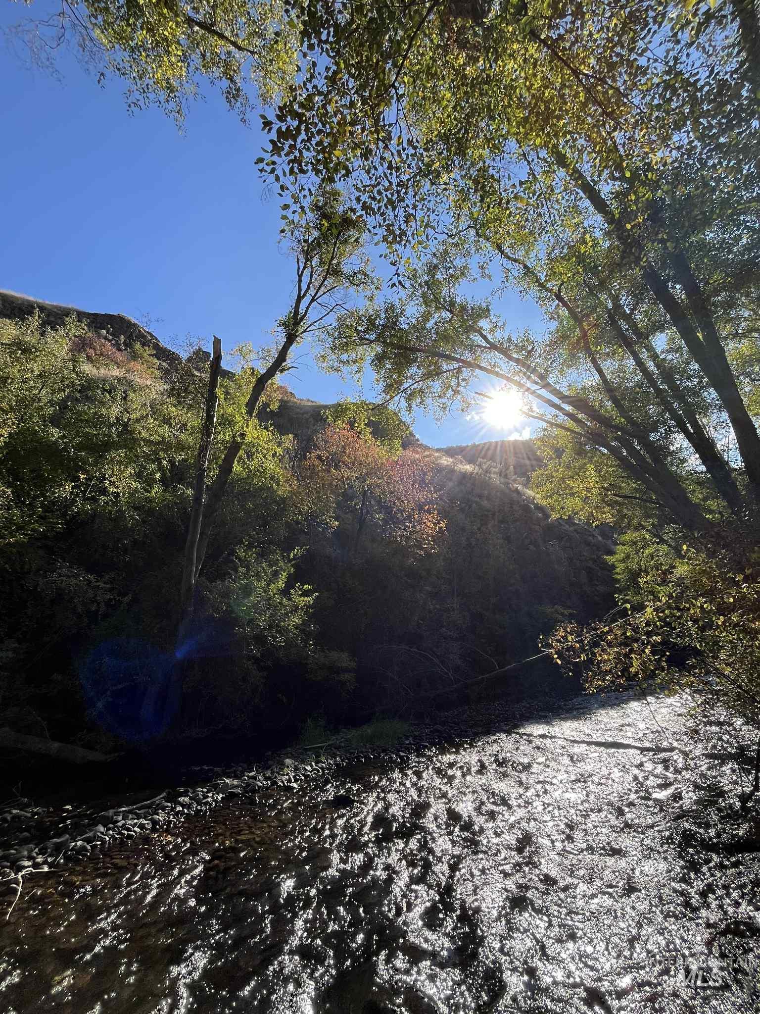 13761 Asotin Creek Road Asotin, WA 99402 - Photo 43 of 44 View of yard with a wooded view