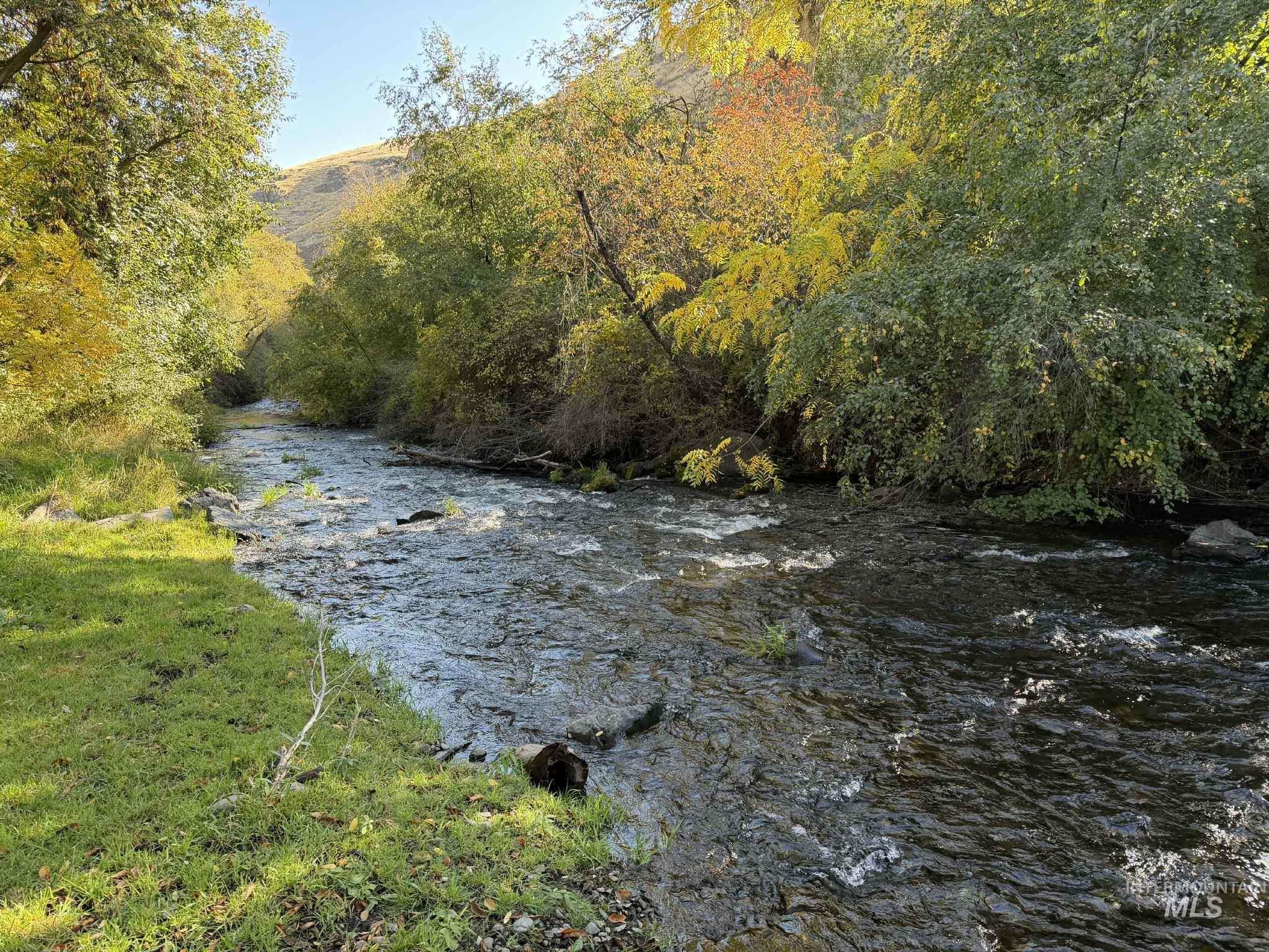 13761 Asotin Creek Road Asotin, WA 99402 - Photo 44 of 44 Water view with a forest