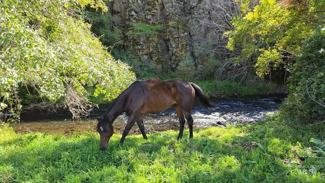 $530,000 | 13761 Asotin Creek Road, Asotin, WA 99402