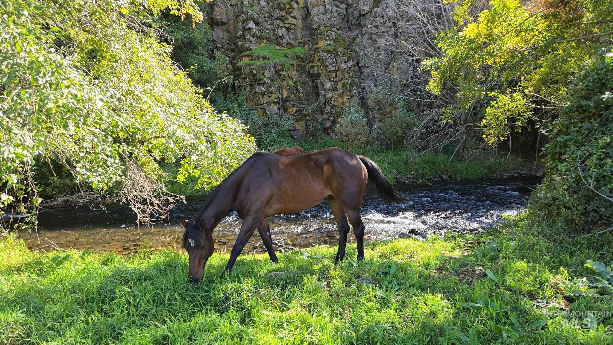 13761 Asotin Creek Road Asotin, WA 99402 - Photo 6 of 44