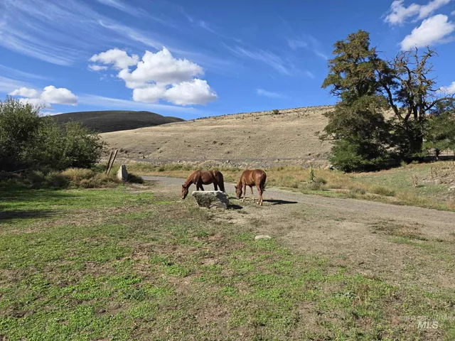 $530,000 | 13761 Asotin Creek Road, Asotin, WA 99402