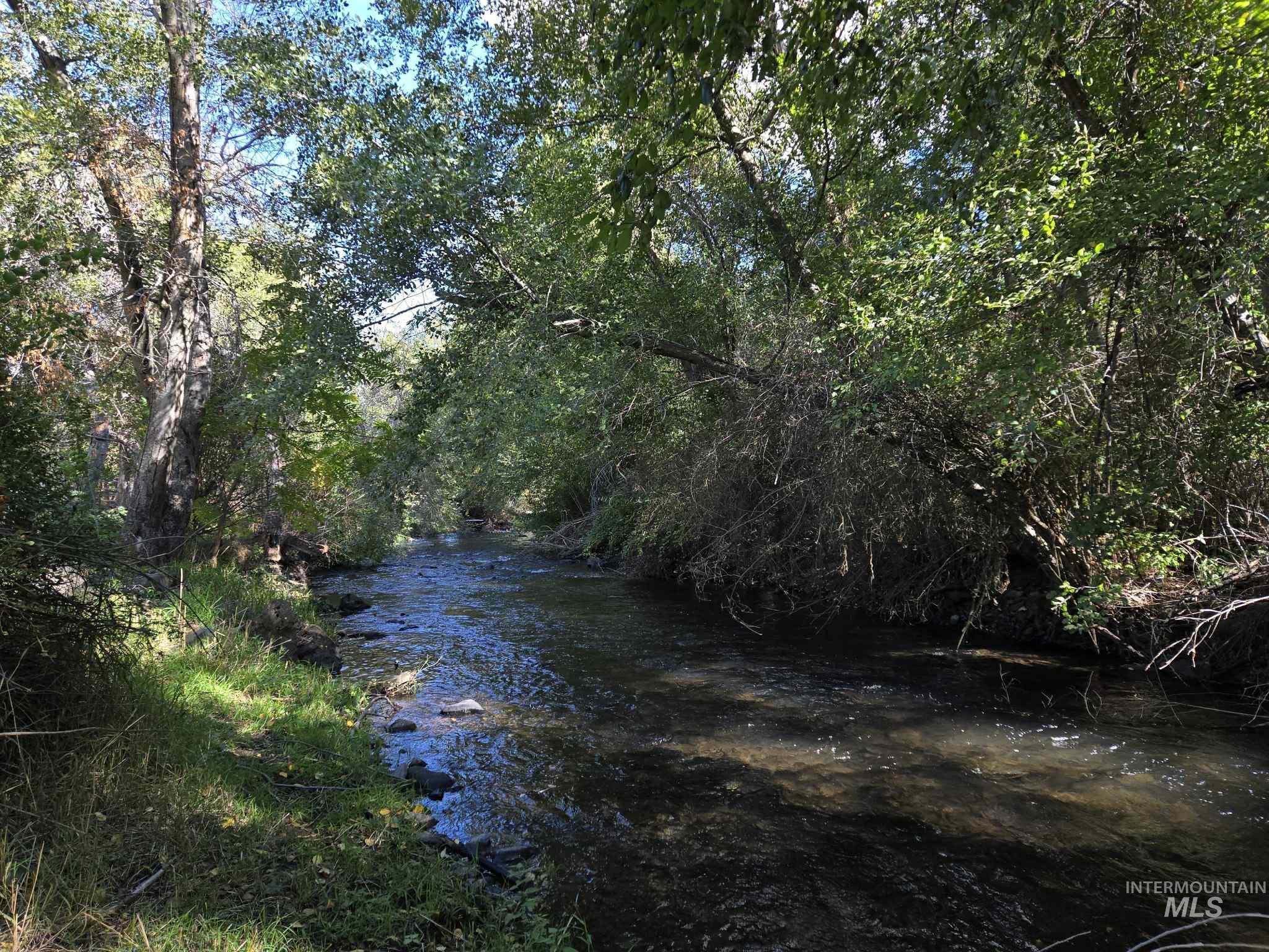 13761 Asotin Creek Road Asotin, WA 99402 - Photo 10 of 44 View of woods with a water view
