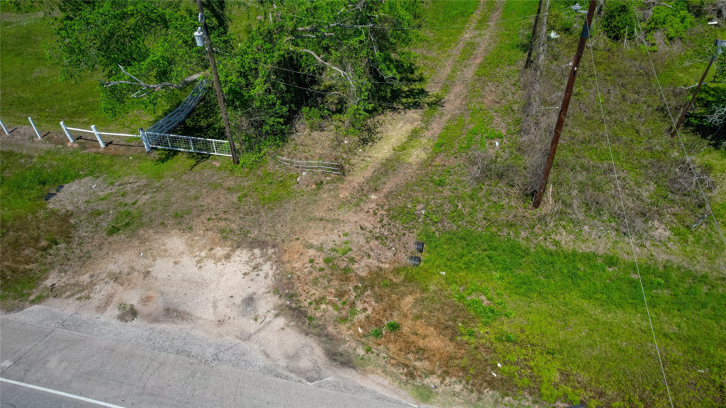 2932 West Farm To Market 1462 Rosharon, TX 77583 - Photo 7 of 20 a view of a forest with a tree