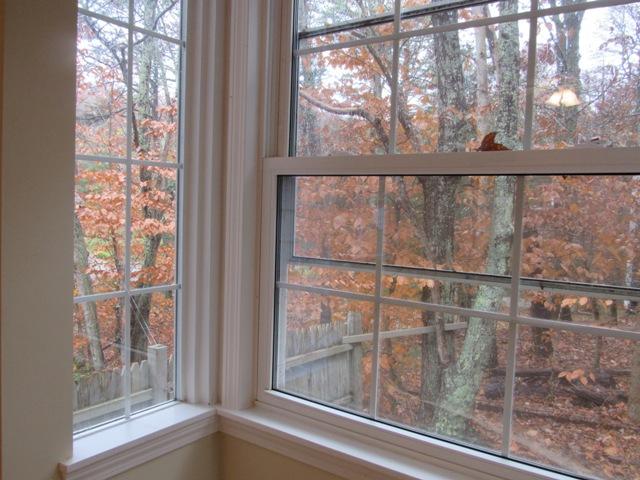 67 Deerfield Road Mashpee, MA 02649 - Photo 7 of 27 a view of a glass door with a tree in it