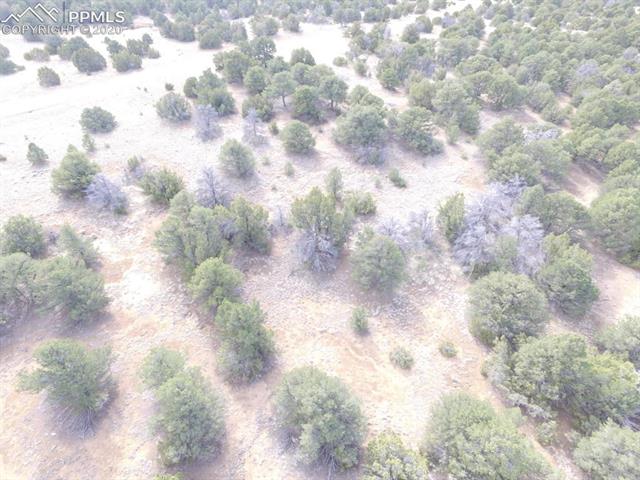 Lot 111 River Ridge Ranch Walsenburg, CO 81089 - Photo 12 of 15
