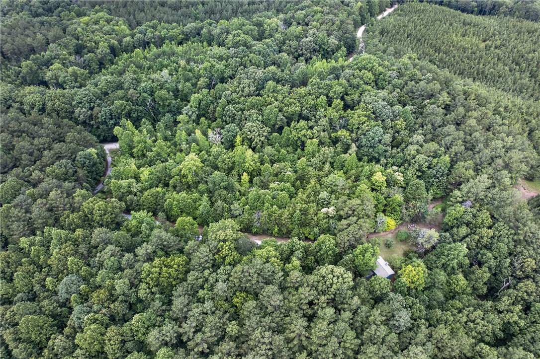 130 Maggie Rufus Lane Westminster, SC 29693 - Photo 45 of 50 A secluded dwelling nestled amidst abundant, mature trees and a winding access path.