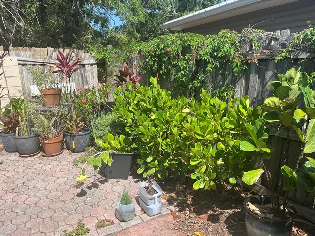 a view of a backyard with plants and flowers