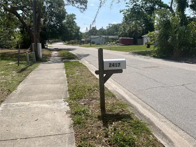 a view of a park with large trees