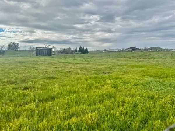 a view of a field with an ocean