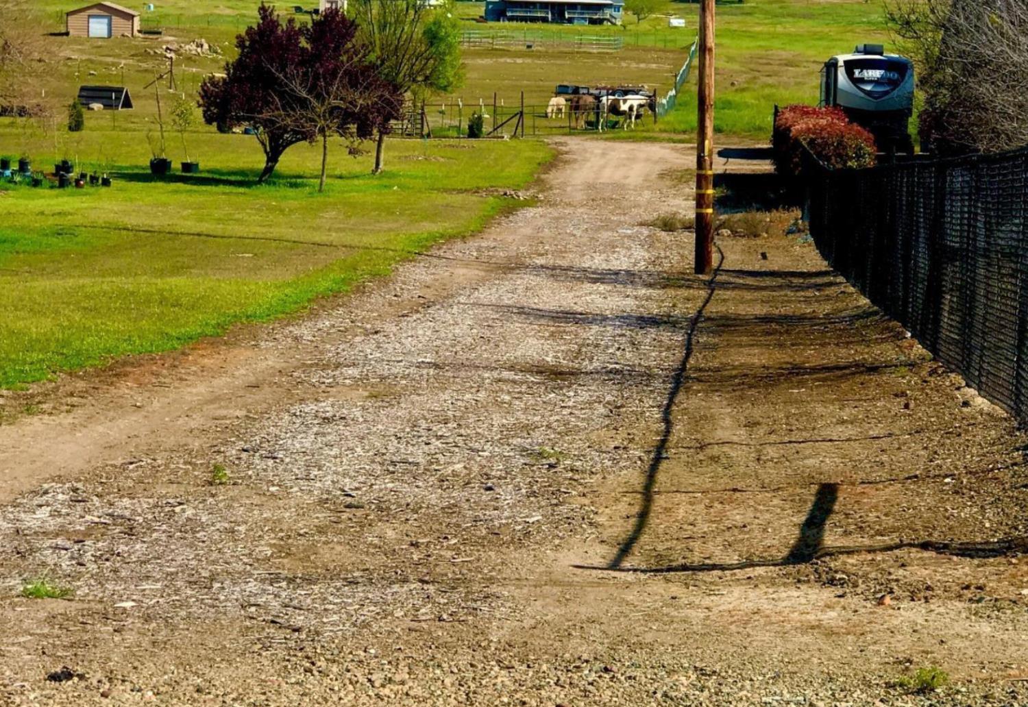 1551 Goose Creek Road Ione, CA 95640 - Photo 11 of 13 a view of a garden