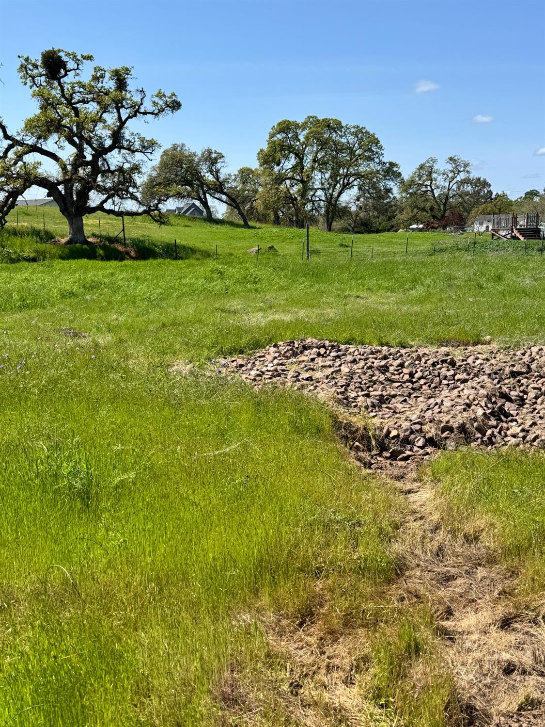 1551 Goose Creek Road Ione, CA 95640 - Photo 4 of 12 a view of a golf course with a large tree