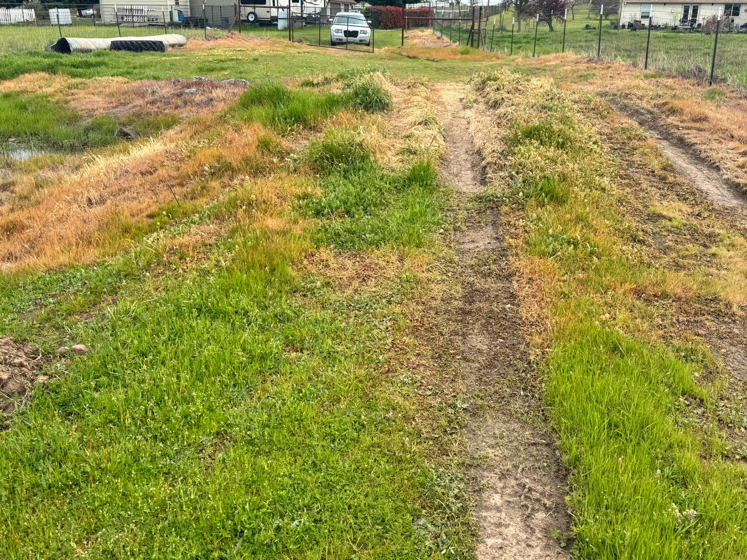 1551 Goose Creek Road Ione, CA 95640 - Photo 5 of 12 a view of a yard with swimming pool