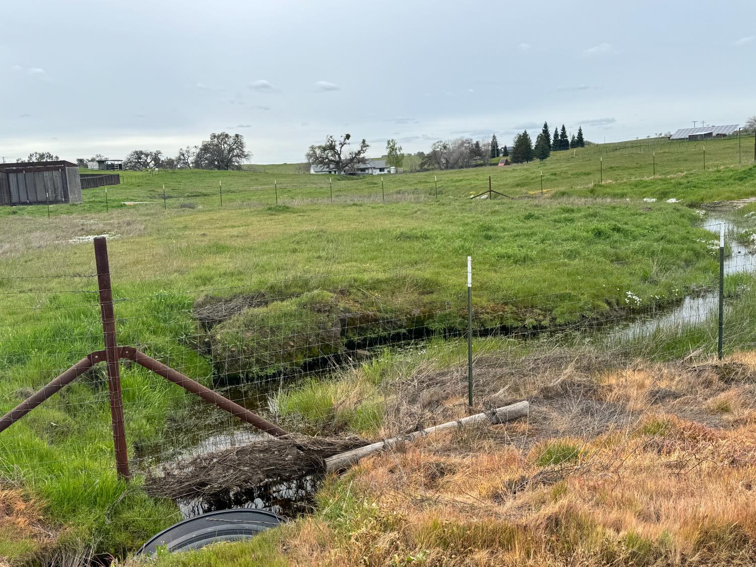 1551 Goose Creek Road Ione, CA 95640 - Photo 6 of 12 a view of a golf course with an ocean view