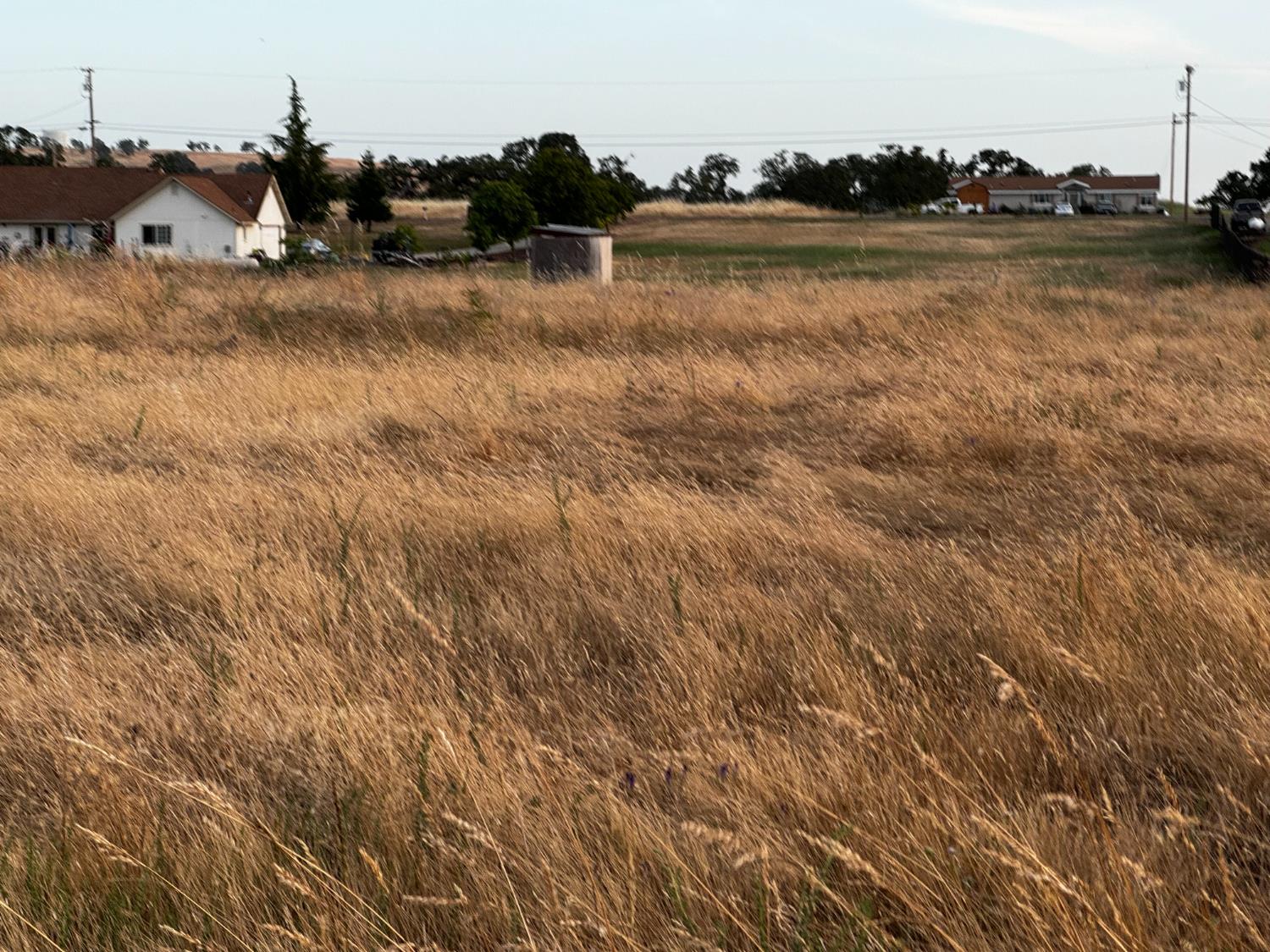 1551 Goose Creek Road Ione, CA 95640 - Photo 8 of 12 a view of a lake with houses