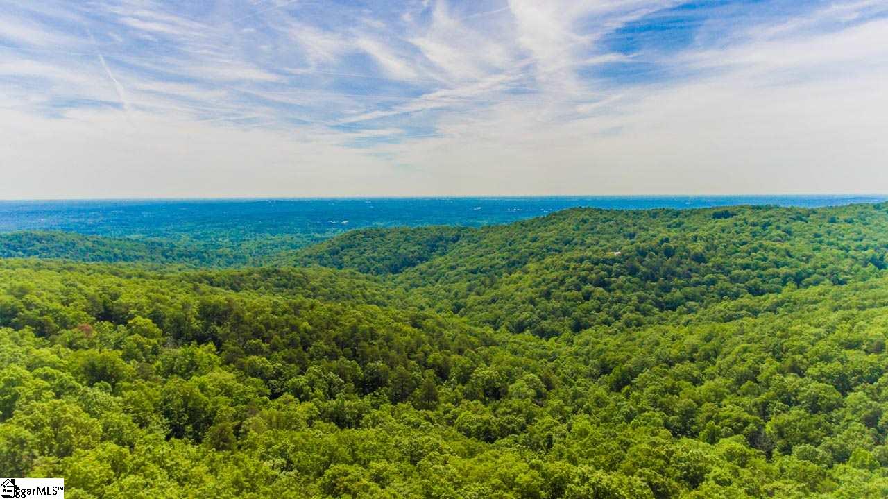 Altamont Road Greenville, SC 29609 - Photo 13 of 19