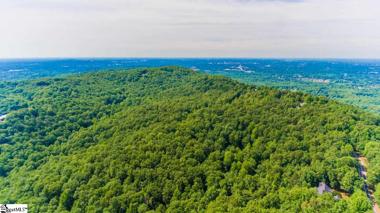 Altamont Road Greenville, SC 29609 - Photo 17 of 19