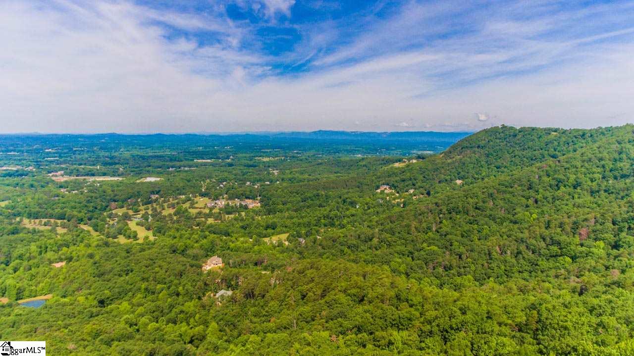 Altamont Road Greenville, SC 29609 - Photo 3 of 19