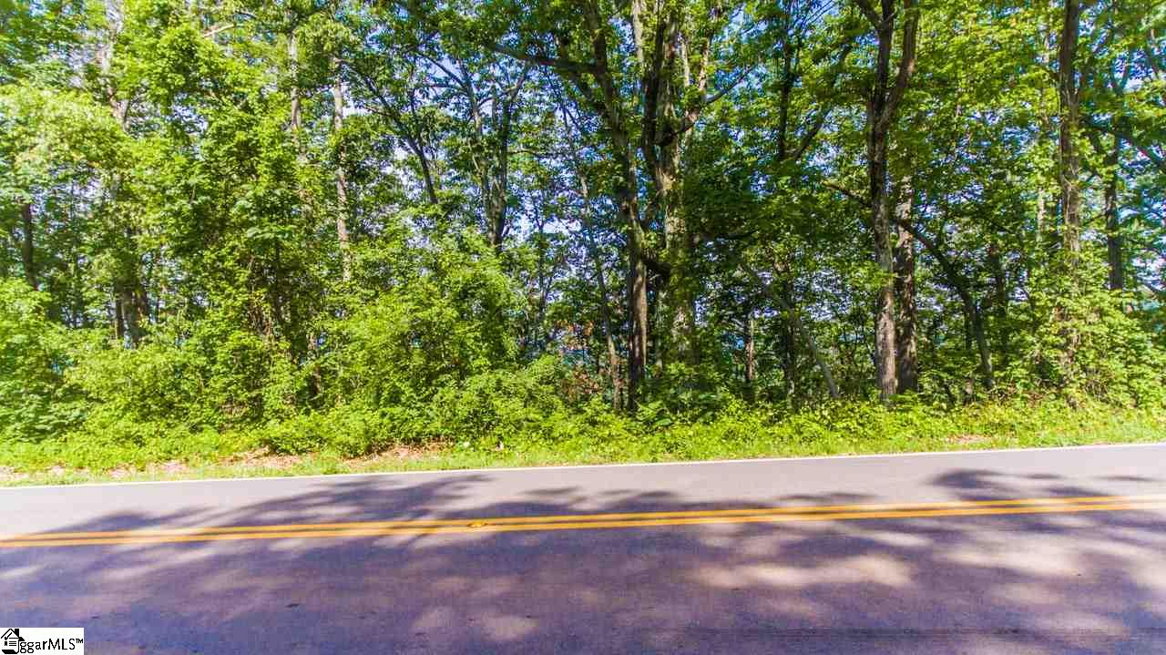 Altamont Road Greenville, SC 29609 - Photo 4 of 19