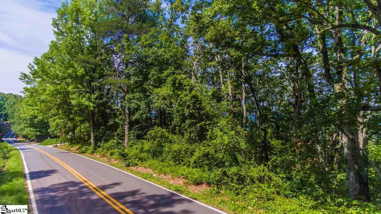 Altamont Road Greenville, SC 29609 - Photo 5 of 19