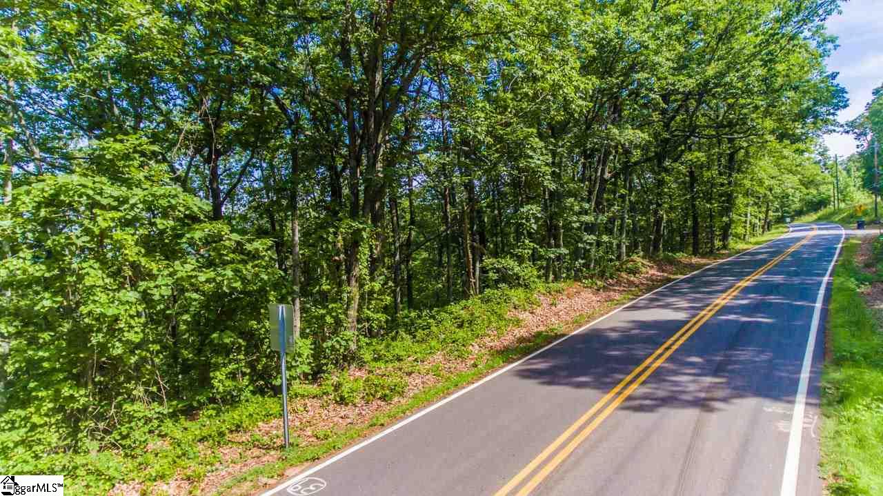 Altamont Road Greenville, SC 29609 - Photo 6 of 19