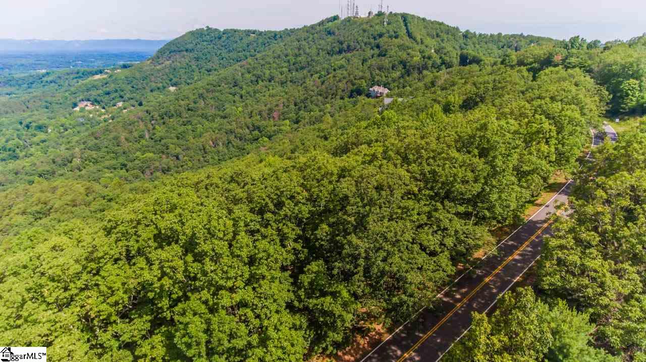 Altamont Road Greenville, SC 29609 - Photo 8 of 19