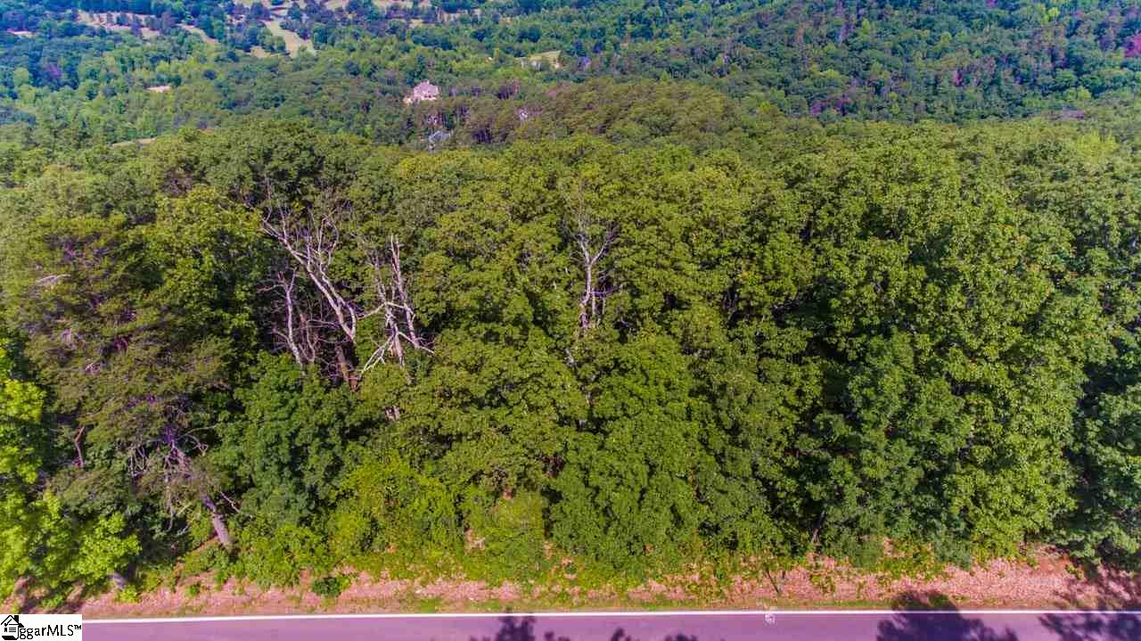 Altamont Road Greenville, SC 29609 - Photo 9 of 19