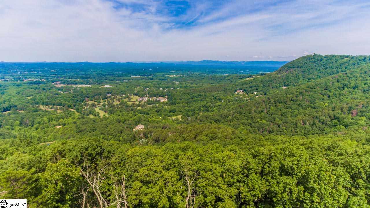 Altamont Road Greenville, SC 29609 - Photo 10 of 19
