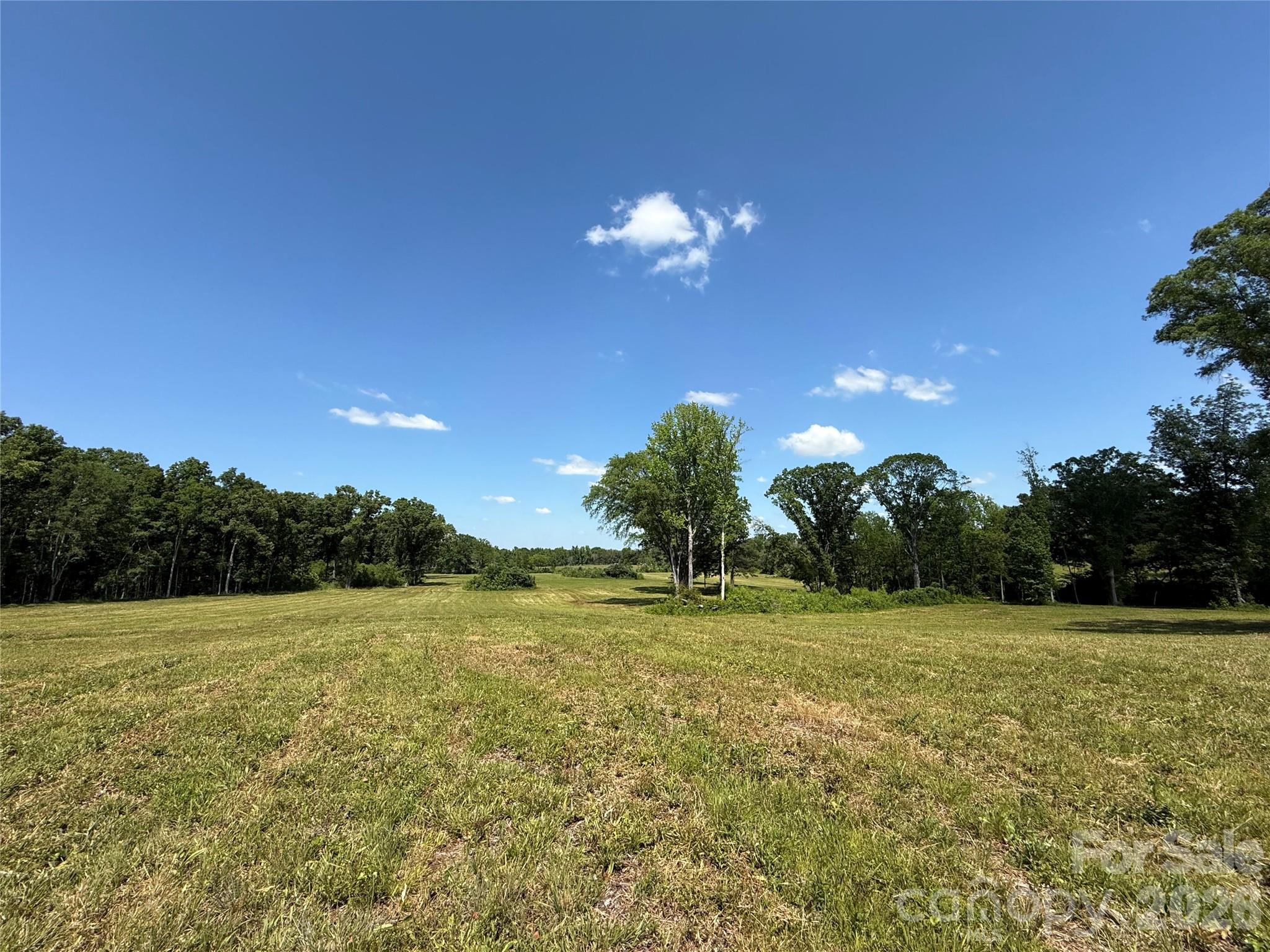 438 Able Road McConnells, SC 29726 - Photo 9 of 10 a view of a golf course with a tree