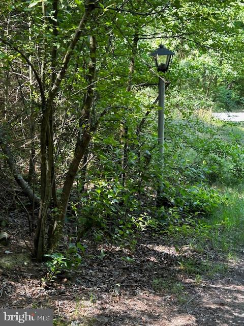 20965 Orchard Road Ellendale, DE 19941 - Photo 4 of 5 Gallery Image 4
