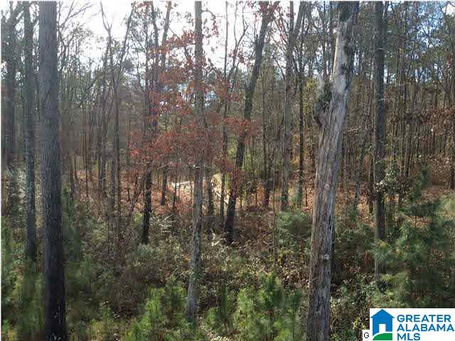 22 Bells Lane, Unit 22 Springville, AL 35146 - Photo 2 of 5