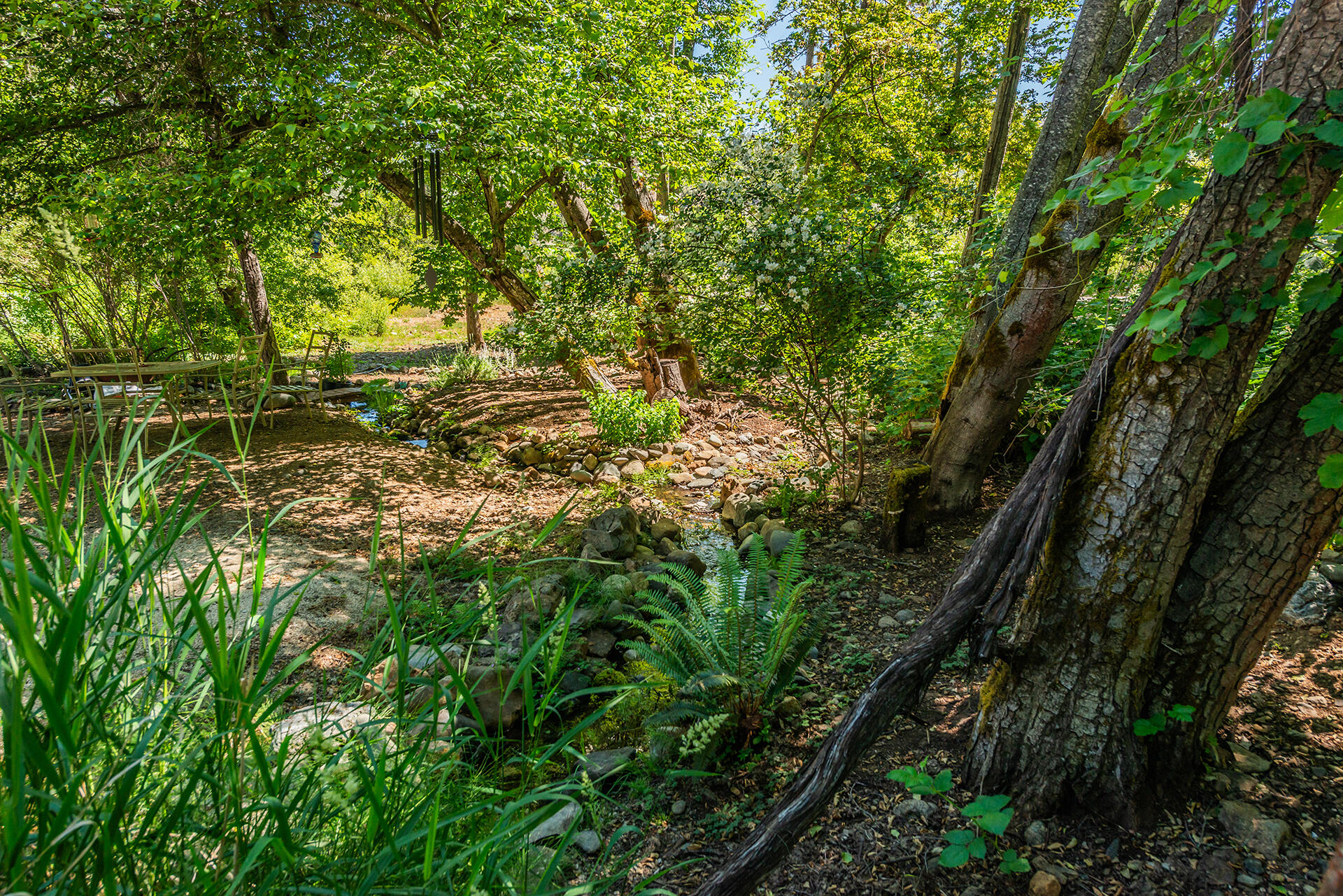 901 Dutch Creek Road Junction City, CA 96048 - Photo 48 of 70