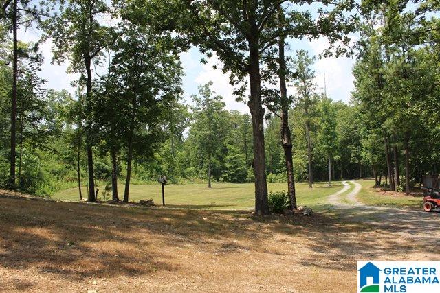 6869 Stemley Bridge Road Talladega, AL 35160 - Photo 2 of 39