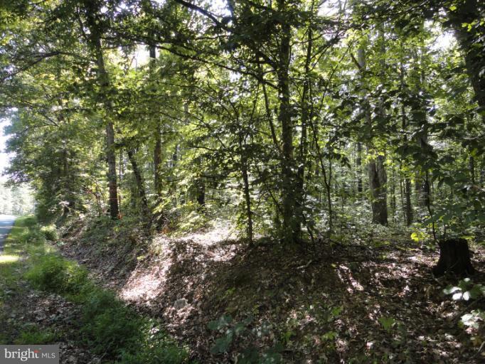 Heflin Rd Road Stafford, VA 22556 - Photo 1 of 6 View